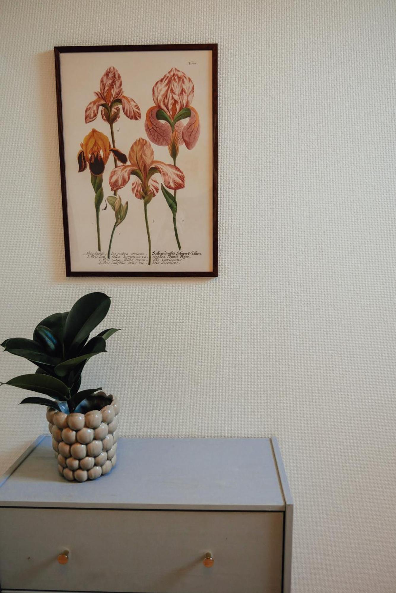 Aespoegarden Bed & Breakfast Klagstorp 외부 사진